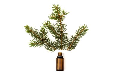 Köknar yağı şişesi, köknar dallarıyla birlikte, beyaz arka planda izole edilmiş.