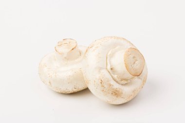 Taze ve çiğ şampiyon mantarı, beyaz başlık mantarı.