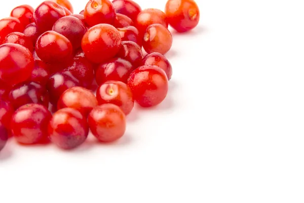 Czerwona Nanking Prunus Tomentosa Lub Filcowane Owoce Wiśni Izolowane Białym — Zdjęcie stockowe