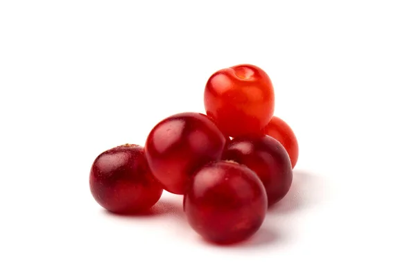 Czerwona Nanking Prunus Tomentosa Lub Filcowane Owoce Wiśni Izolowane Białym — Zdjęcie stockowe