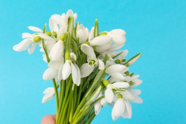 Kar tanesi. Kopyalama alanı ile yakın plan beyaz yaylar. İlkbahar başlangıcı kavramı