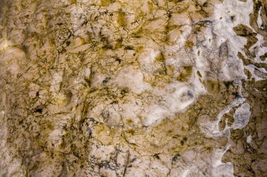 Tasarım için doku. Arkaplan, duvar kağıdı olarak kullanılabilir