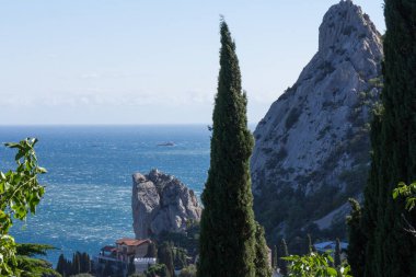 Güzel doğa manzarası Kırım selvi ağacı, yatay fotoğraf