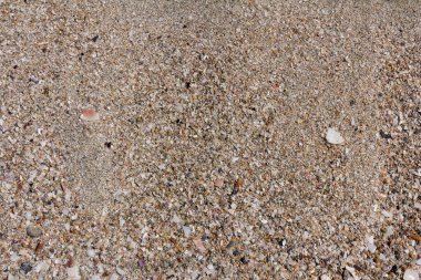 Kumsalda kum. Yaz dönemi. Tatil kavramı