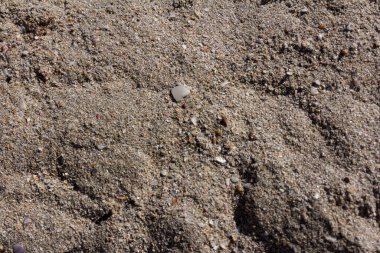 Kumsalda kum. Yaz dönemi. Tatil kavramı