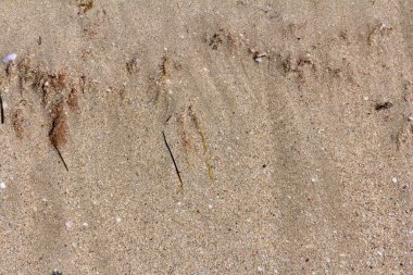 Kumsalda kum. Yaz dönemi. Tatil kavramı