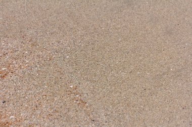 Kumsalda kum. Yaz dönemi. Tatil kavramı