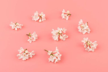 Makro - leylak bahar çiçeklerinin görüntüsü. Çiçekli leylak ağaçları