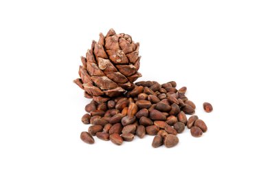 Kabukta sedir fıstığı ve beyaz arka planda izole edilmemiş kozalaklar.