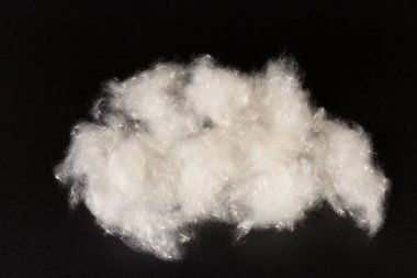 Kavak ağaçlarının kabuğu siyah arka planda. Kavak tohumlarına alerji. 