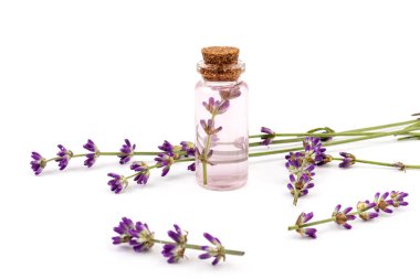 Beyaz arka planda güzel bir şişe içinde lavanta yağı.