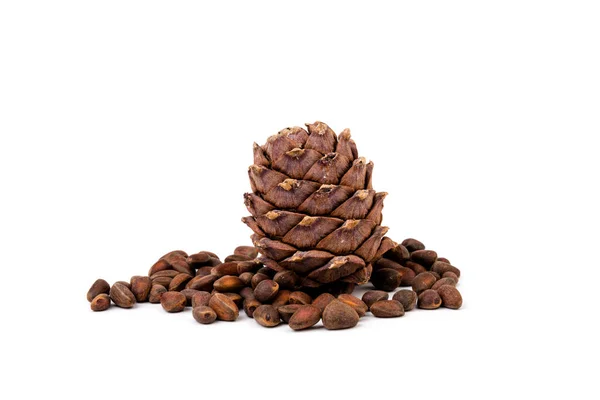 Stock image Cedar nuts in the shell with  unopened cones isolated on the white background