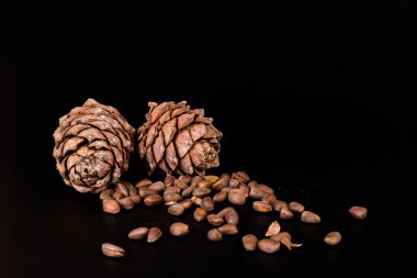 Kabukta sedir fıstığı ve siyah arka planda izole edilmemiş kozalaklar.