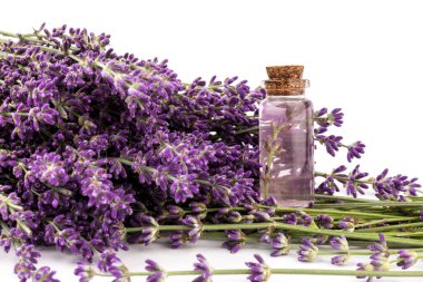 Beyaz arka planda güzel bir şişe içinde lavanta yağı.