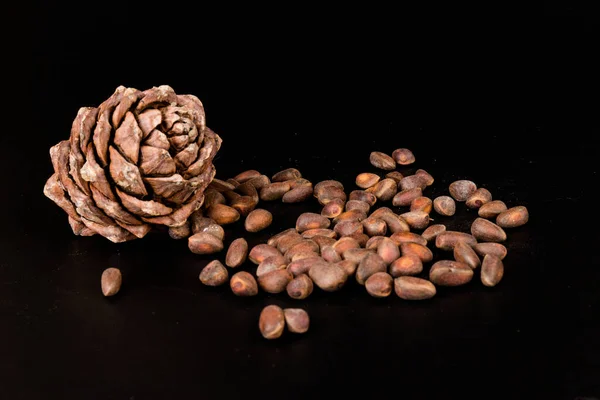 Dadi Cedro Nel Guscio Con Coni Non Aperti Isolati Sullo — Foto Stock