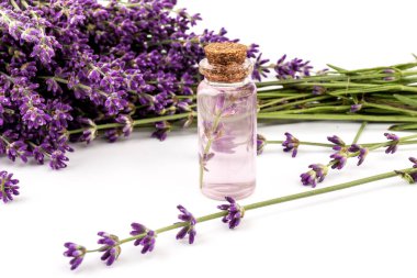 Beyaz arka planda güzel bir şişe içinde lavanta yağı.