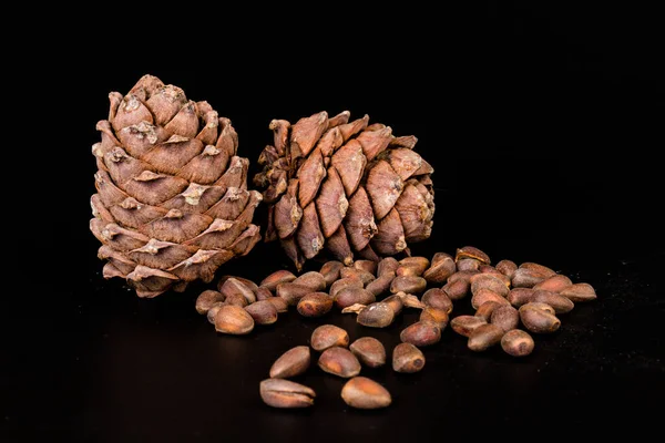 Dadi Cedro Nel Guscio Con Coni Non Aperti Isolati Sullo — Foto Stock