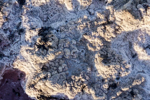 Crystallized Salt Natural Mineral Mud Dried Salt Lake Here People — Stock Photo, Image