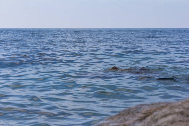 Mavi ve turkuaz renkte küçük dalgalarla deniz yüzeyi