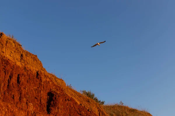 美しい風景 海の上に砂の崖 旅行のコンセプト 美しい自然のテクスチャ — ストック写真