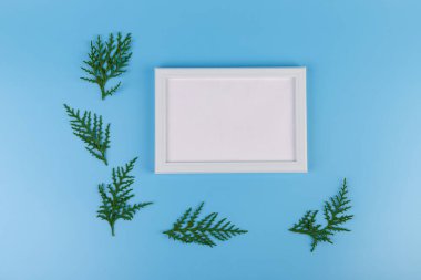 Boş beyaz fotoğraf çerçevesi ve mavi arkaplanda yeşil selvi dalı. Noel kompozisyonu, kopyalama alanı. 