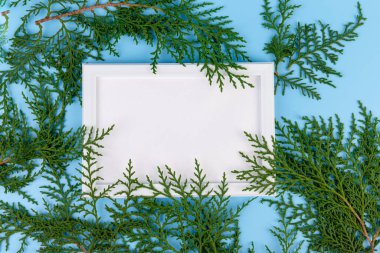Boş beyaz fotoğraf çerçevesi ve mavi arkaplanda yeşil selvi dalı. Noel kompozisyonu, kopyalama alanı. 
