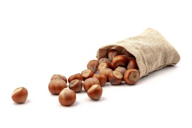 Beyaz arka plan üzerinde izole Sivas'tan çantasından taze fındık. 