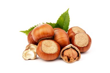 Fındık (Corylus avellana, hindistan cevizi, filbert) beyaz arkaplanda fındık yaprakları ile.