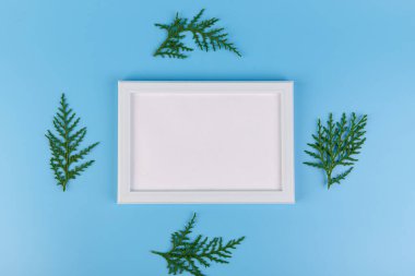 Boş beyaz fotoğraf çerçevesi ve mavi arkaplanda yeşil selvi dalı. Noel kompozisyonu, kopyalama alanı. 