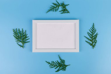 Boş beyaz fotoğraf çerçevesi ve mavi arkaplanda yeşil selvi dalı. Noel kompozisyonu, kopyalama alanı. 