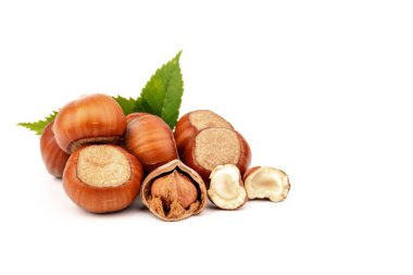 Fındık (Corylus avellana, hindistan cevizi, filbert) beyaz arkaplanda fındık yaprakları ile.