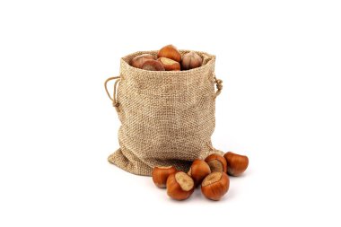 Beyaz arka plan üzerinde izole Sivas'tan çantasından taze fındık. 