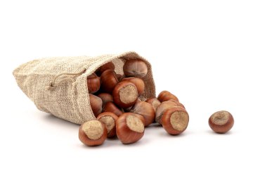 Beyaz arka plan üzerinde izole Sivas'tan çantasından taze fındık. 