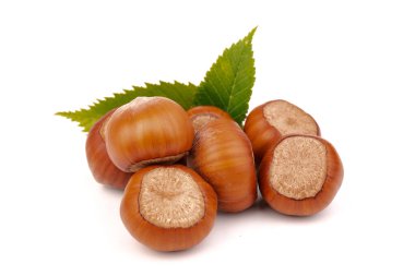 Fındık (Corylus avellana, hindistan cevizi, filbert) beyaz arkaplanda fındık yaprakları ile.