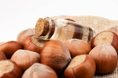 Yemek ve kozmetoloji için organik sebze yağları kavramı. Malzemeleri göstermek için fındık fıstığı. Cam şişedeki doğal yağ..