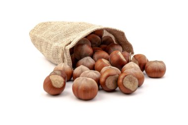 Beyaz arka plan üzerinde izole Sivas'tan çantasından taze fındık. 