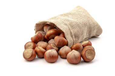 Beyaz arka plan üzerinde izole Sivas'tan çantasından taze fındık. 