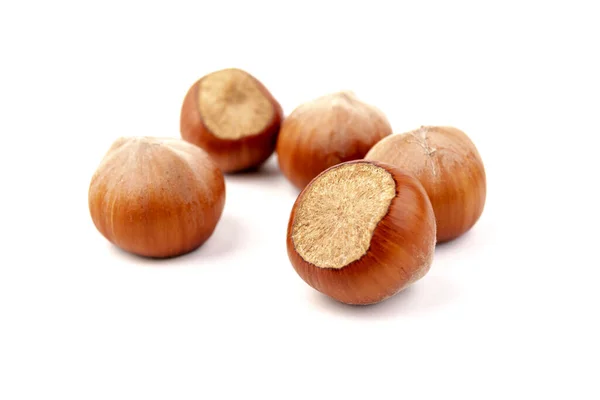 白色背景上的褐色坚果 榛子背景 健康食品 — 图库照片