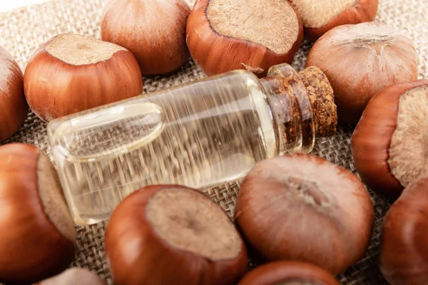 Konzept Biologischer Pflanzenöle Zum Kochen Und Zur Kosmetik Haselnusskerne Zur — Stockfoto