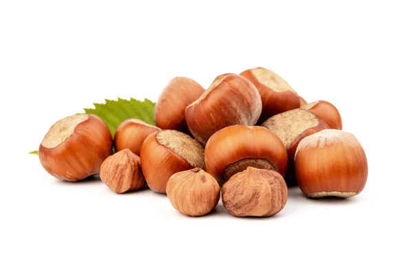 Fındık (Corylus avellana, hindistan cevizi, filbert) beyaz arkaplanda fındık yaprakları ile.
