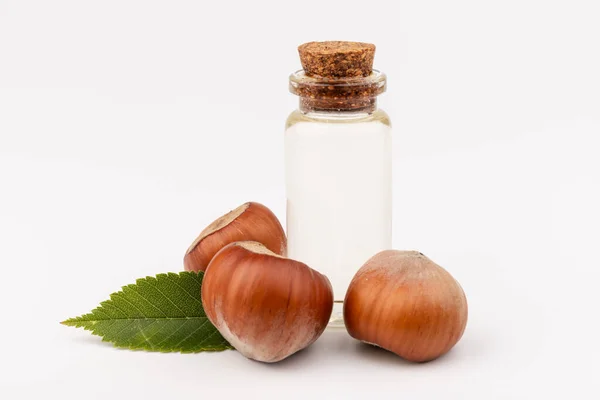 料理や化粧品のための有機植物油の概念 ヘーゼルナッツナッツは食材を説明する ガラス瓶内の天然油 — ストック写真