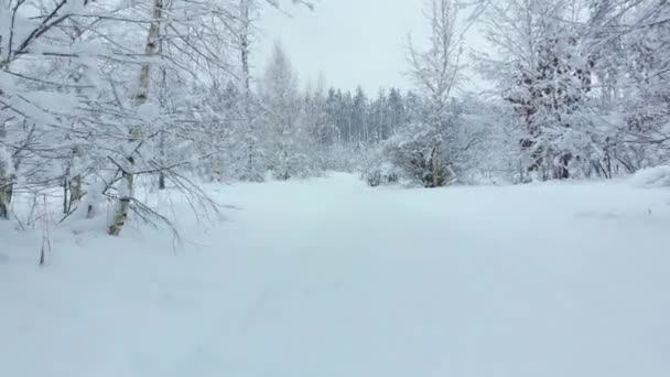 Camino nevado en el bosque de invierno retrocediendo. — Vídeo de stock