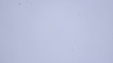 Gökten kar taneleri düşüyor