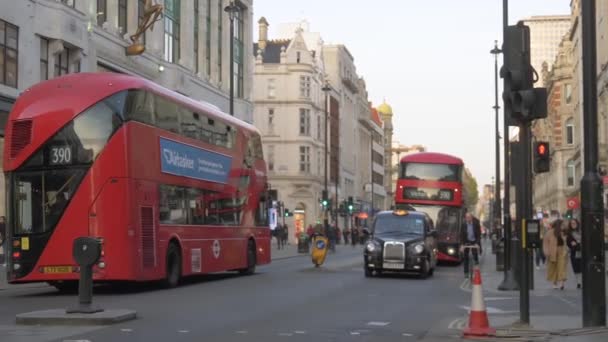 Centrální Londýn ulice s autobusy a taxi. — Stock video