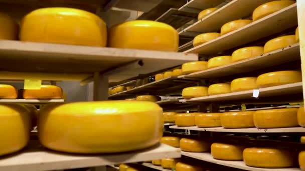 Fromage sur les étagères de la chambre de stockage. FERMEZ — Video