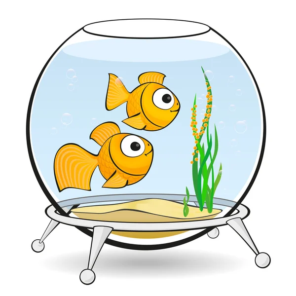 Couple goldfish in an aquarium with caviar — Stock Vector