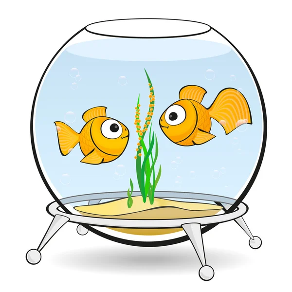 Pár zlatých rybek v akváriu — Stockový vektor