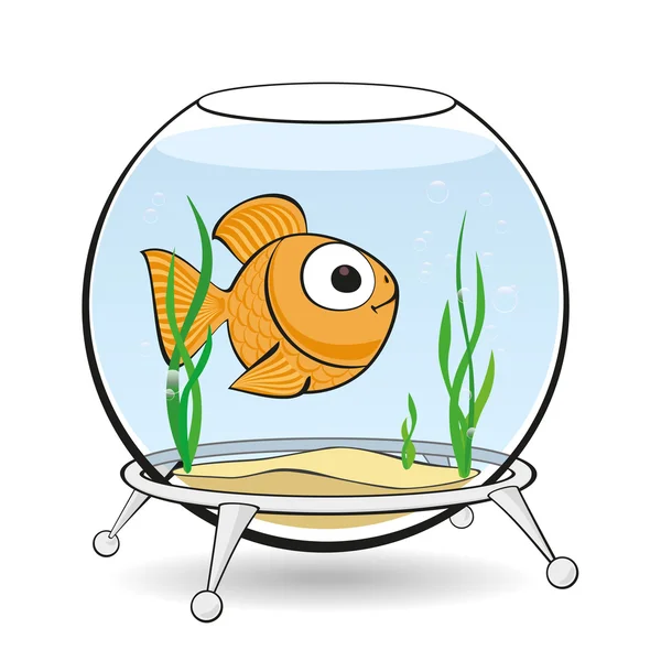 Gold fish in aquarium — Stock Vector