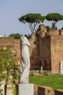 antika forum Roma, İtalya