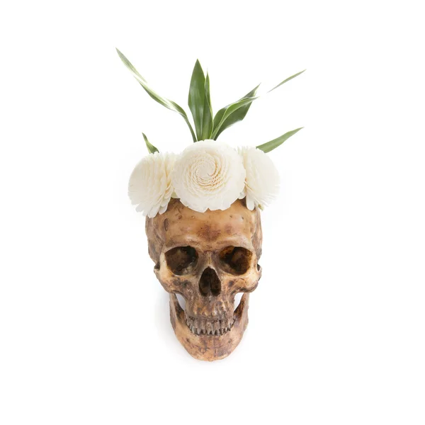 Crâne avec fleur sur fond blanc — Photo